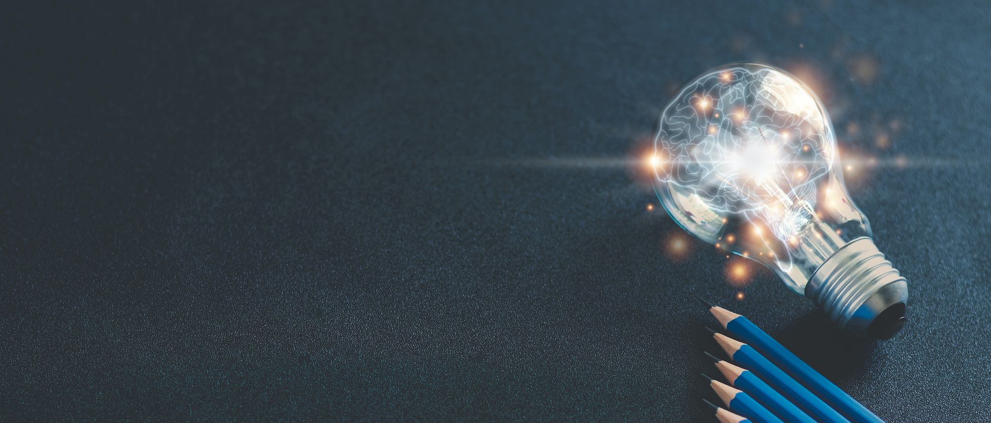 Hjerne Kursus Neurorehab WEB