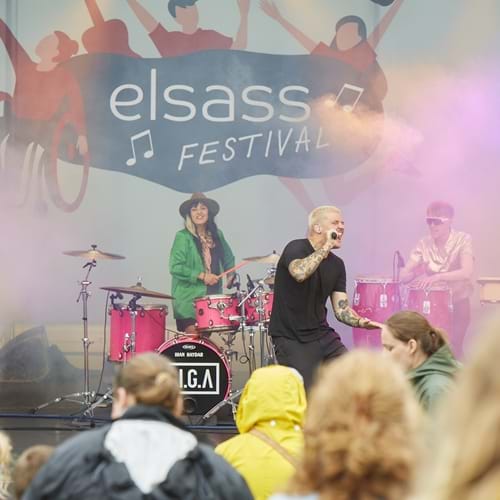 Publikum Festival WEB