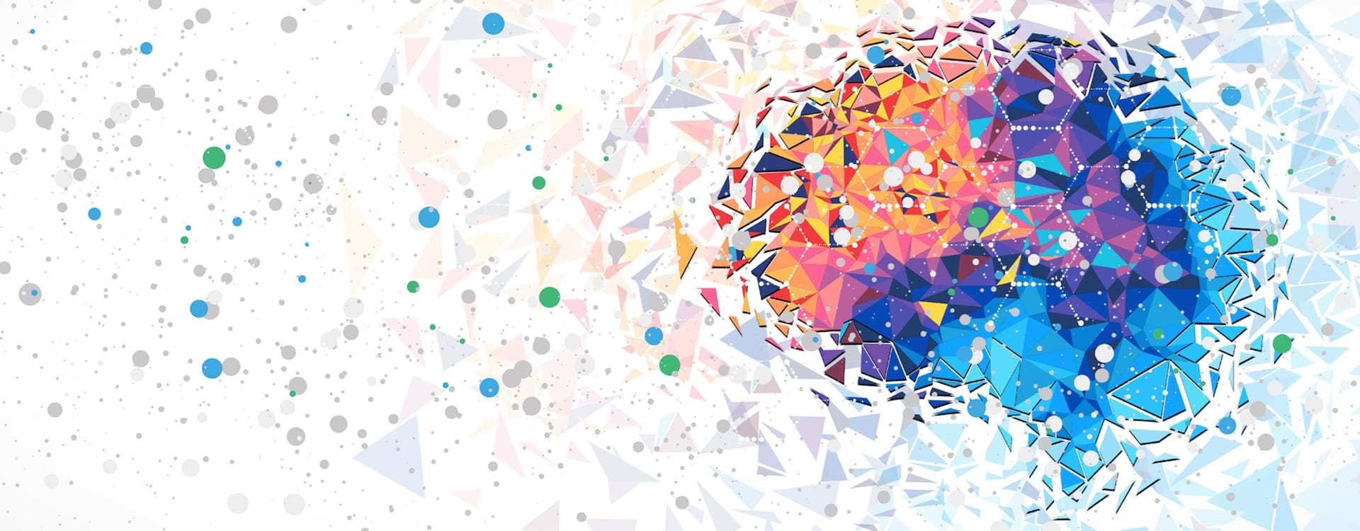 Hjernens foranderlighed