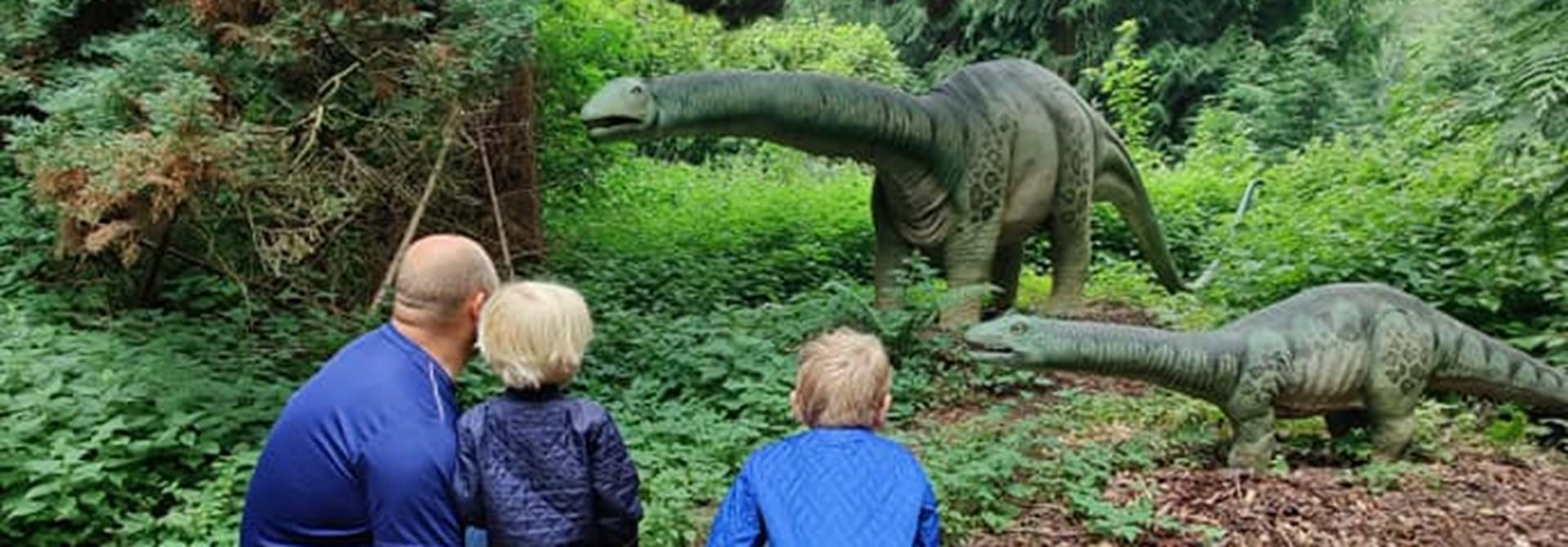 Magne Kigger På Dinoer Med Familien