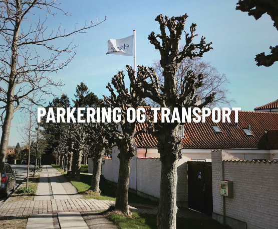 Elsass Festival Web Parkeringogtransport