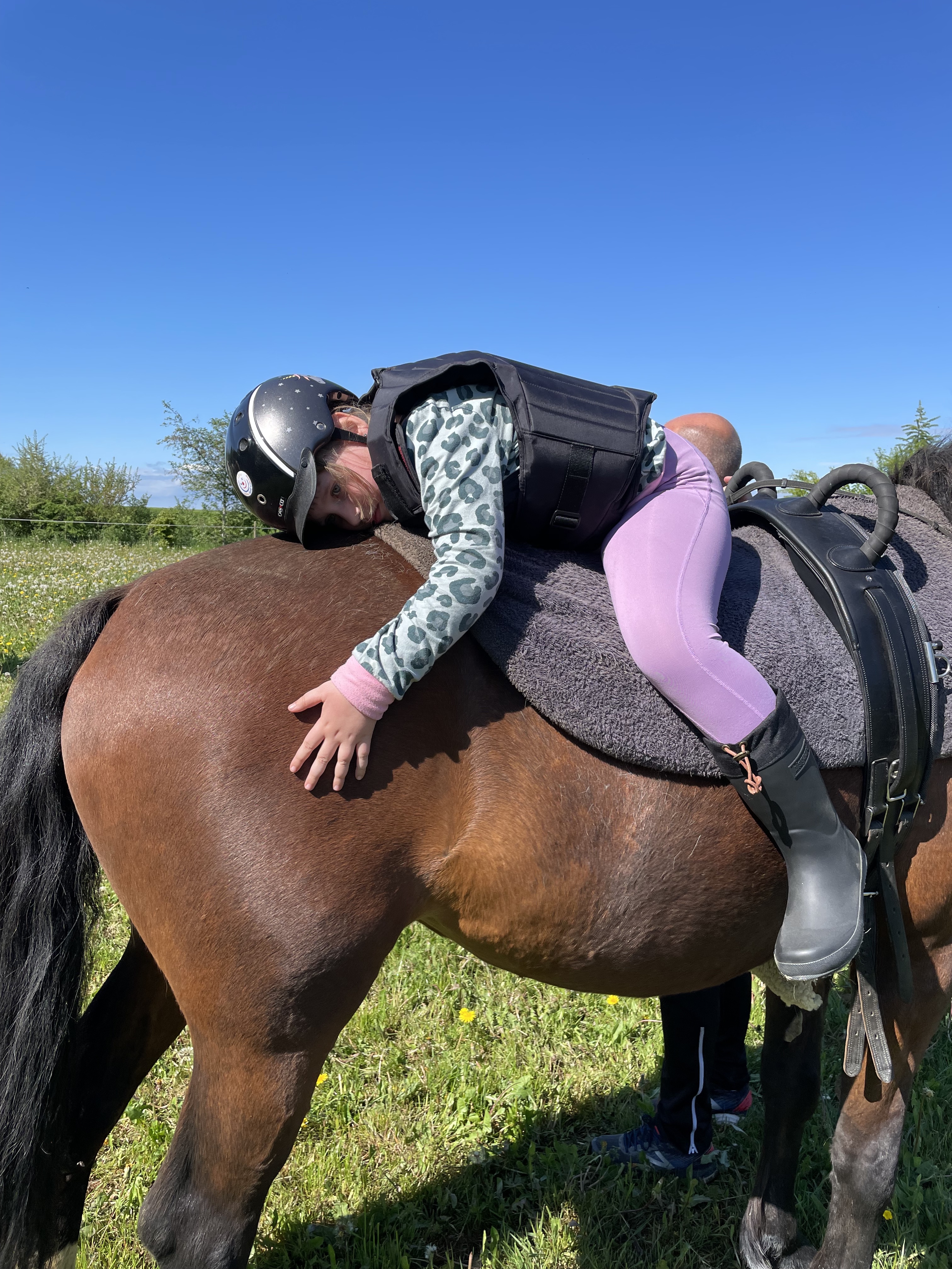 Ridecamp pige på hest
