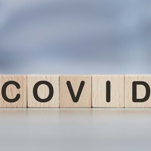 Covid 19 Stock Web