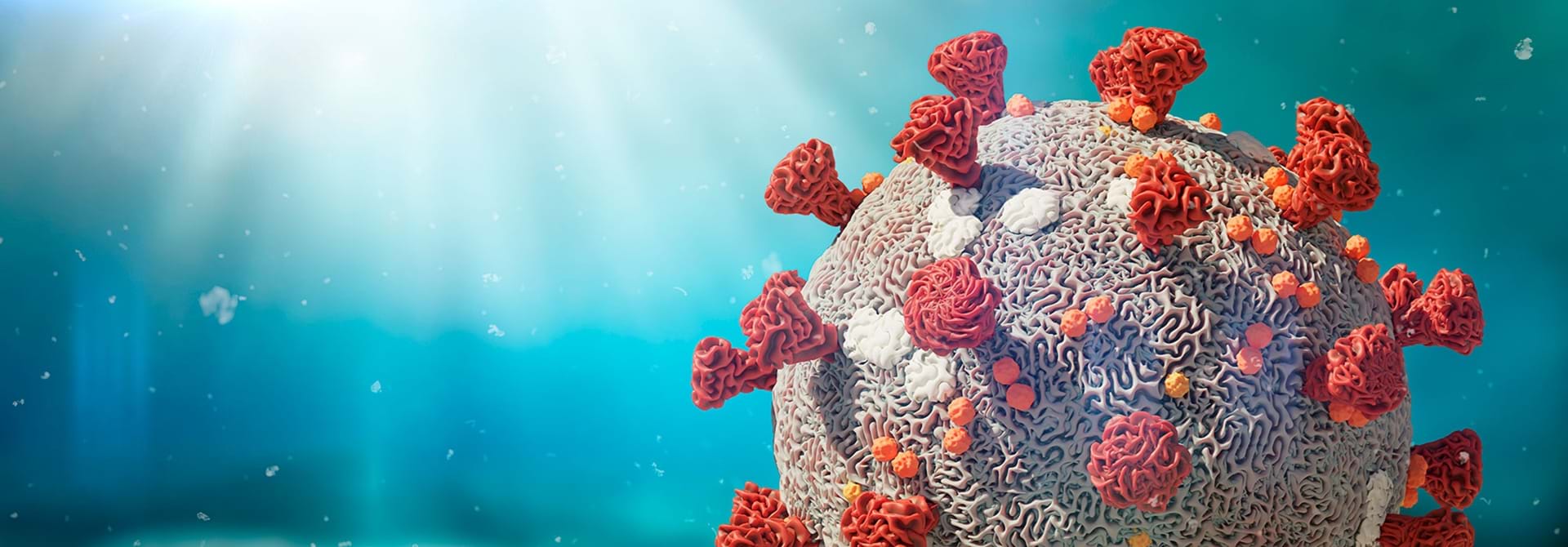 Coronavirus Stock
