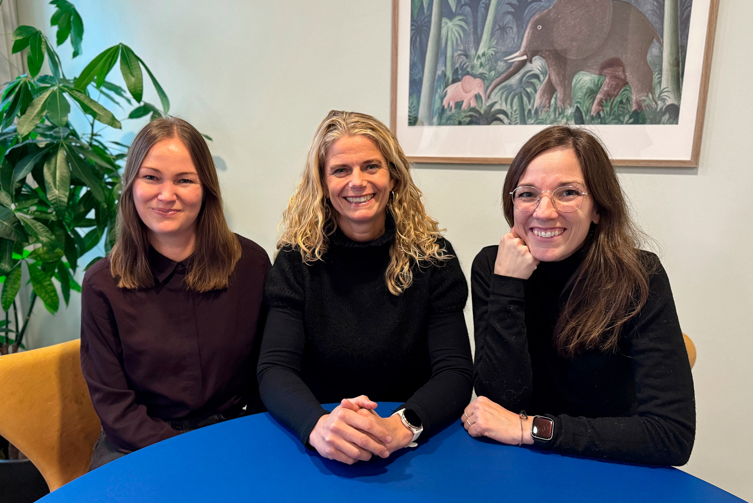 Anne, Anne Og Sofie Red