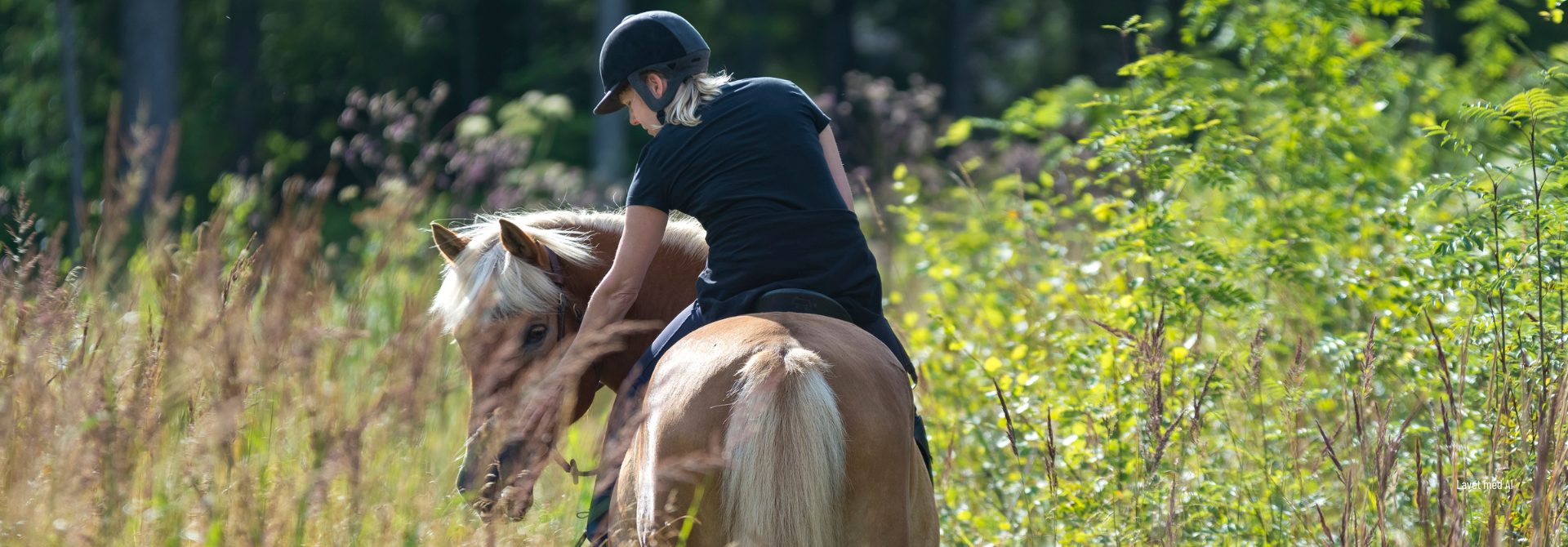 Ridecamp Bannerfoto