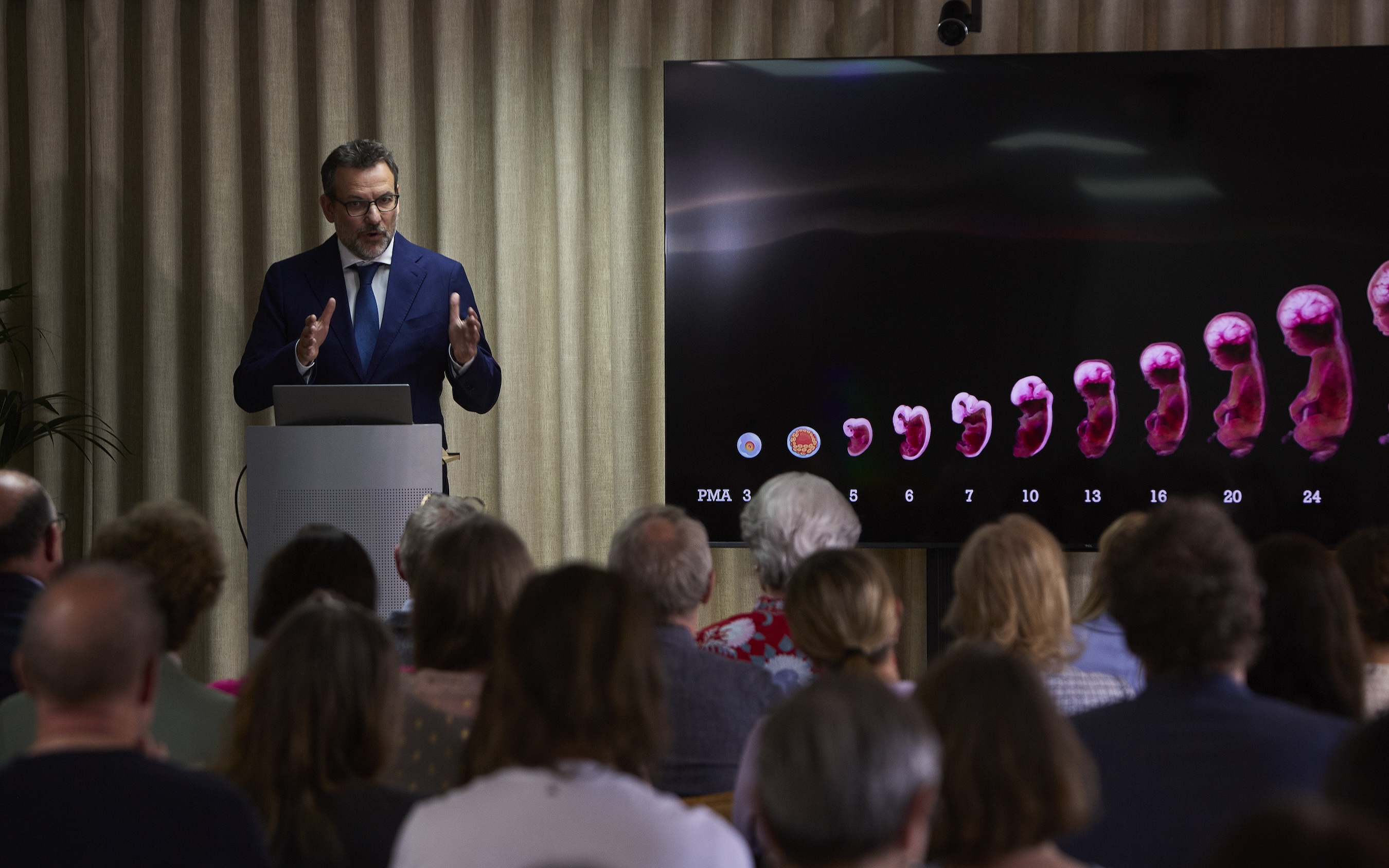 Andrea Præsentation Web